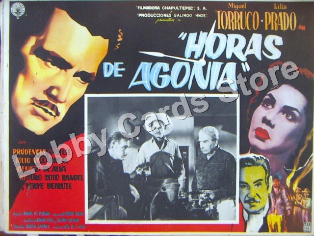 MIGUEL TORRUCO/HORAS DE AGONIA